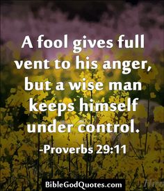 Anger Properly Managed Devotional Series
